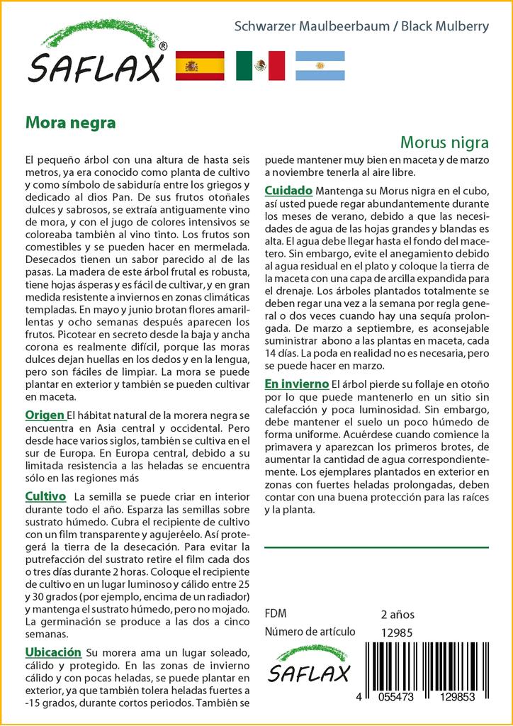 SAFLAX Подарочный набор - Черная шелковица - 200 семян - С подарочной коробкой, карточкой, этикеткой и субстратом для горшков - Morus nigra