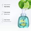 Liushen Foaming Hand Wash - Wormwood & Lime