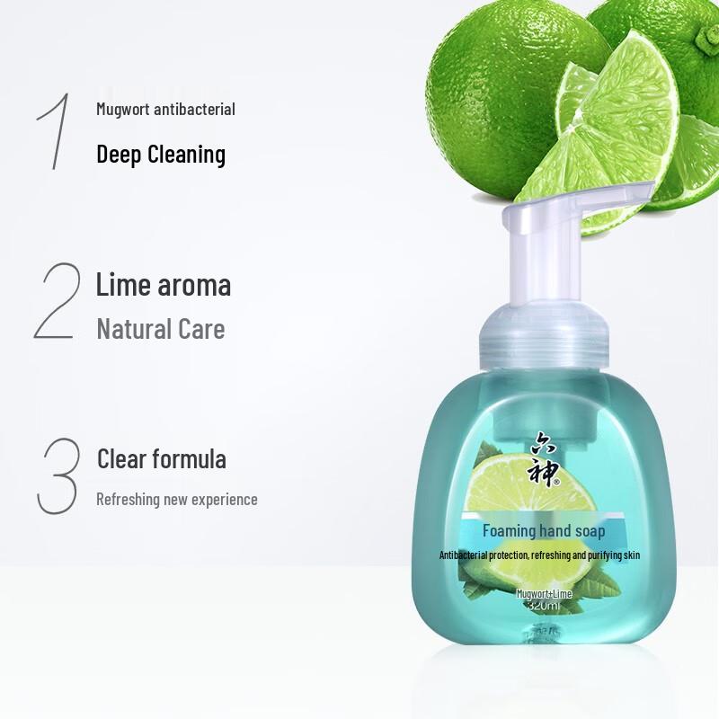 Liushen Foaming Hand Wash - Wormwood & Lime