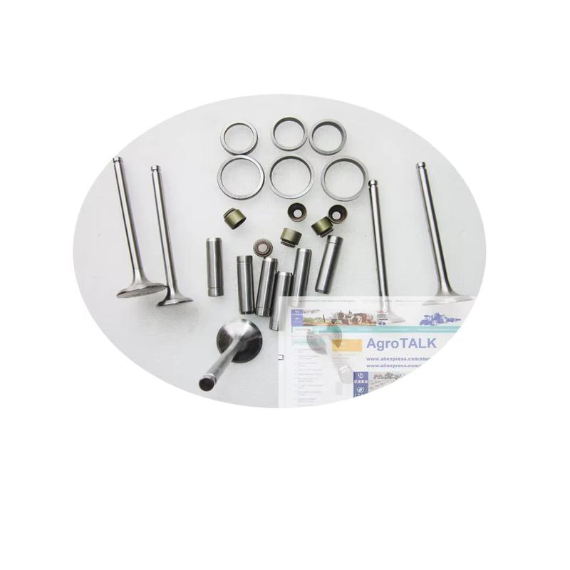 Intake and exhaust valves kit for Yangdong Y380T / Y385T