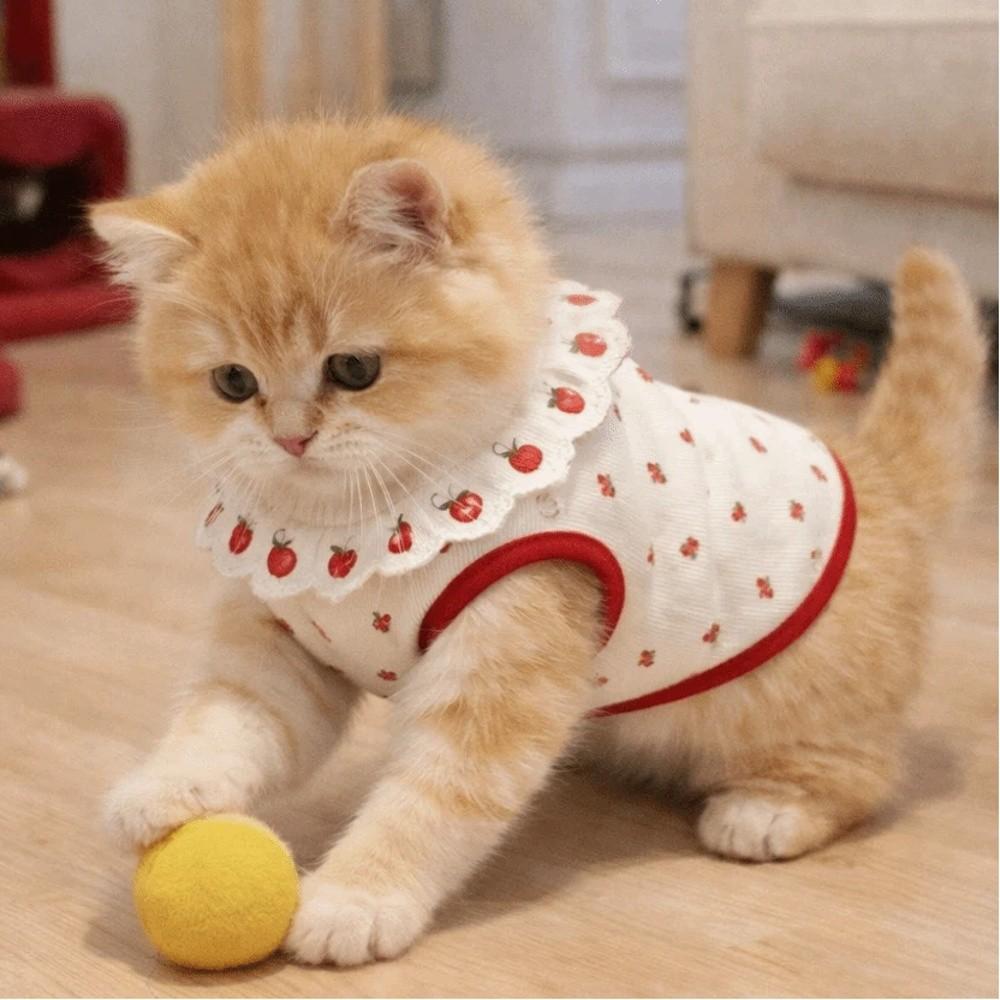 Cherry Pattern Cat Strawberry Vest Breathable Summer Pet Clothes Cat Lace Vest Photo Shoots