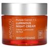 Andalou Naturals Watery Luminous Night Cream Purple Carrot + C 1.7fl Oz, 1 Unit