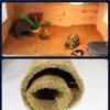 Warm Habitats Bedding Mat Terrariums Furniture Accessories Reptiles Substrates