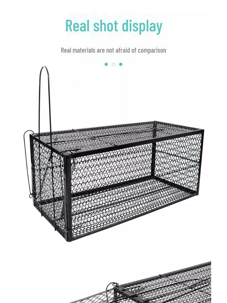 Полностью автоматическая клетка для больших кошек для гуманного спасения