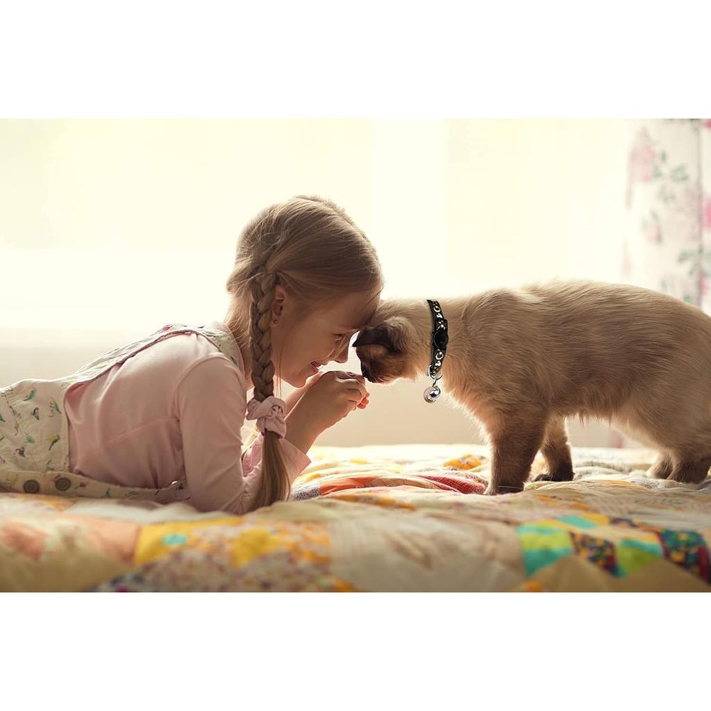 2Detachable cat collar with bell, adjustable, luminous design, durable nylon material, perfect for outdoor activities, cute kitten collar for pets