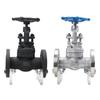 YunDuo F304 Forged Stainless Steel Flanged Globe Valve