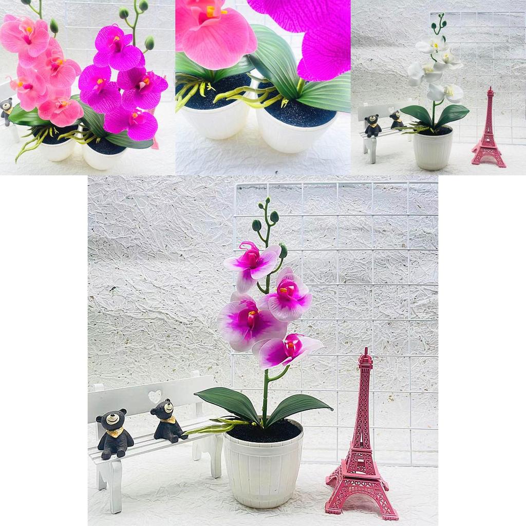 Phalaenopsis Faux Flower Arrangement With Injection Molded Craft For House Decoration And Gift