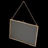 Brass Glass Metal Picture Photo Dried Plant Preserver