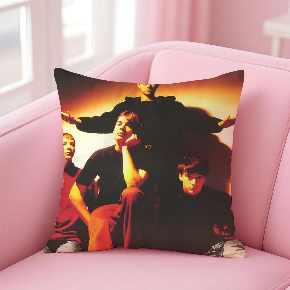 BBlur Cushion Cover Pillow Case Soft Friendly Fabric Concealed Zipper