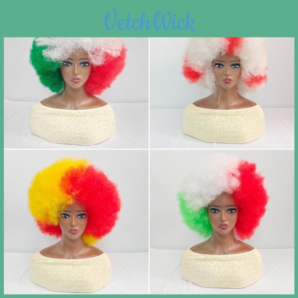 Afro Wig With Colorful Mix For Women And Teens Synthetic Hair