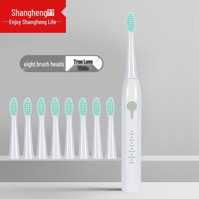 Shangheng SHZH-KQ001 Перезаряжаемая звуковая электрическая зубная щетка Вилка CN (адаптер в комплекте)