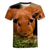 Guinea Pig T-Shirts Hamster Cute Animal 3D Printed Streetwear Men Women Fashion Oversized T Shirt Kid Tees Tops Clothing Shirts