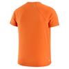 Nike Acg Crewneck Short-Sleeved T-Shirt IO9651-819