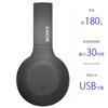 Sony Wireless Headphones High Resolution Compatible Amazon Alexa Installed Bluetooth Up To 30 Hours of Continuous Playback High Resolution Equivalent