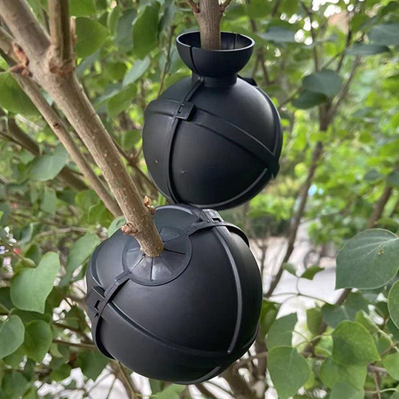 Коробка для выращивания корней растений, Шары для укоренения деревьев, Кейс для прививки фруктовых деревьев, Посадочный субстрат для горшков, Уход, Комнатное садоводство, Аквапоника