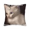 Домашний Декор Мяу Кошка Сова Мем Наволочка Аксессуары Чехол на Подушку Квадратный Разные Размеры