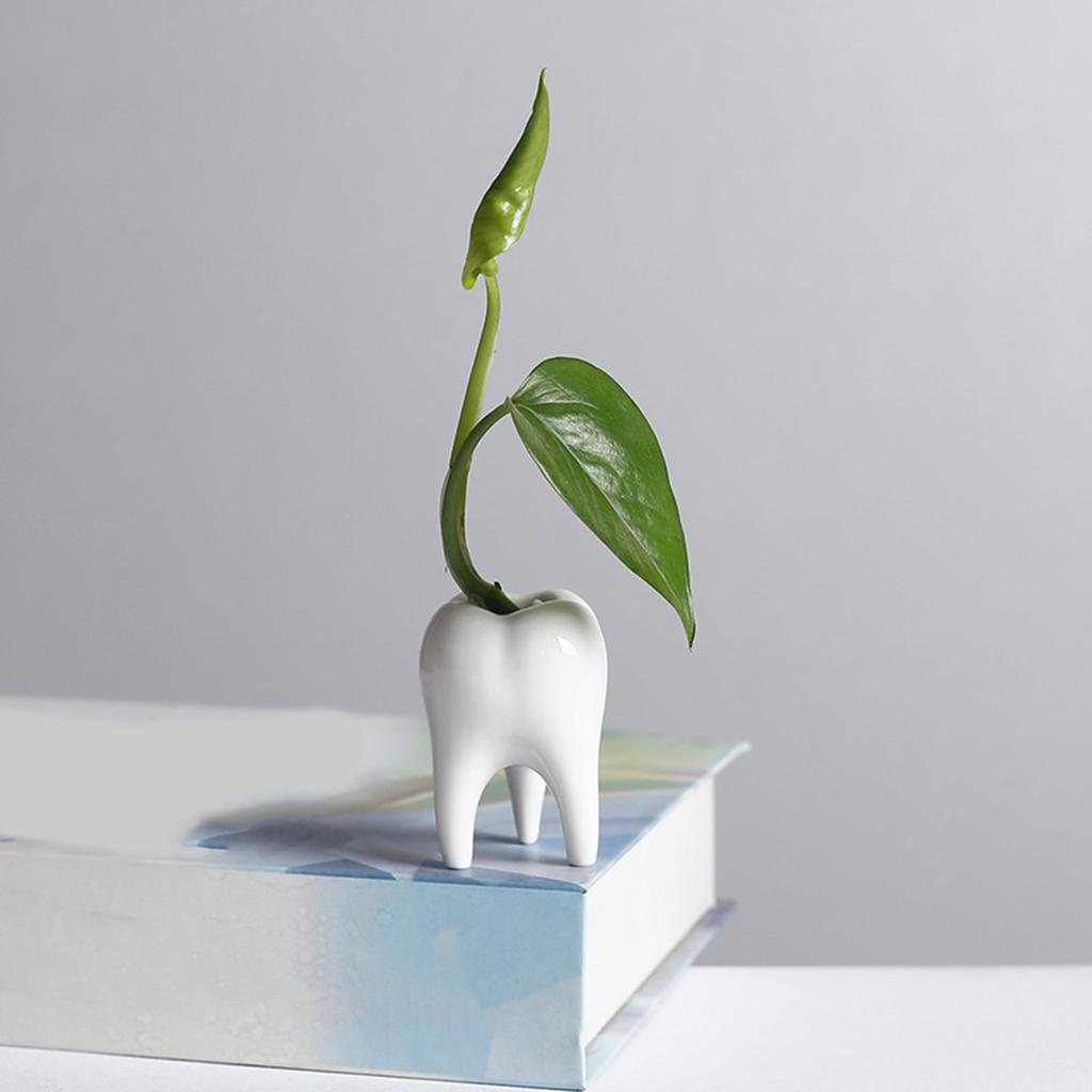 Керамический горшок для суккулентов, кашпо в виде зуба, украшение для суккулентов, кактусов, контейнер для дома, балкона