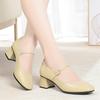 2025 Autumn New Women's High Heels Fashion Chunky Heel Casual Party Career Work Mary Jane Soft Leather Shoes