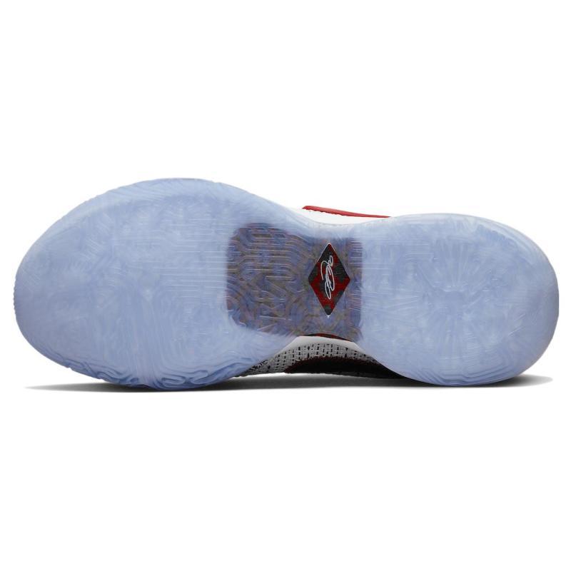 Nike Кроссовки LeBron 20 'The Debut' DJ5423-100