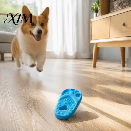 Teething Toys for Puppies Slipper Dog Chew Toy, Puppy Thong Sandal Shape, Interactive Durable Fetch Toy Small to Large Dogs, Pet Training