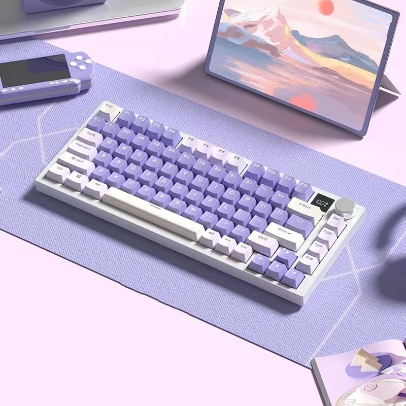 New Arrival Professional 81 Key Gateron Switch LED Backlit Mechanical Gaming Keyboard 2.4GHz Wireless Charger USB Type-C Desktop