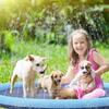 Colorful Pvc Pet Splash Pad Fun Summer Water Play Mat For Children And Dogs