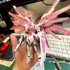HG 1/144 Сакура Розовый Фридом Ситроен Версия для Ремонта Маски Модель Сборная Фигурка Меха Фигурки Действия Кукла-Украшение Пазл-Игрушка для Мальчика