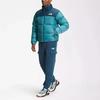 THE NORTH FACE 1996 Retro Nuptse Jacket (Unisex) Down Jackets NF0A3C8D 9NQ
