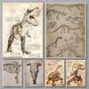Classic Retro Mysterious Fossil Skeleton Dinosaur Art Poster Canvas Print Wall Art Pictures Living Room Bedroom Home Decoration
