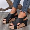Fashion 2024 Wedge Sandals for Women's New Platform Cross Strap Fashion Shoes Female Summer Buckle Strap Sandal