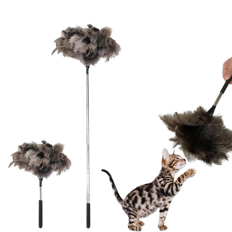 Natural Ostrich Feather Cat Teaser 30in Telescopic Rod Stainless Steel Undyed Feathers Dark Gray