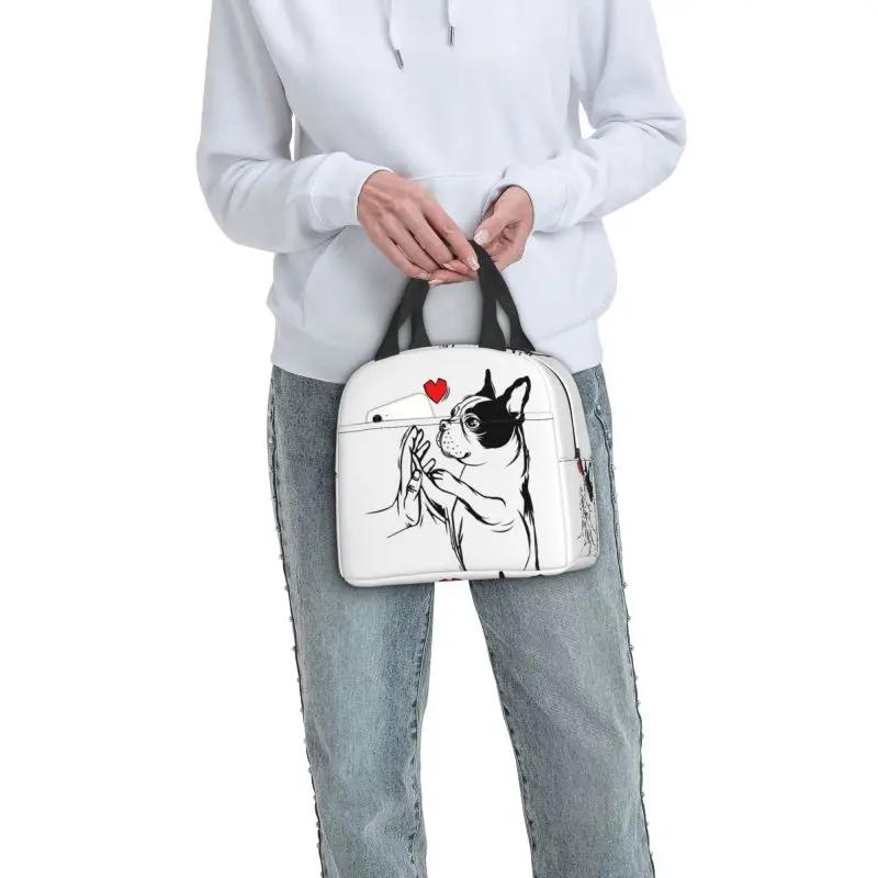 Бостонские терьеры любят хозяек, собак, портативные ланч-боксы, герметичные охладители, термосумки для еды, школьные дети