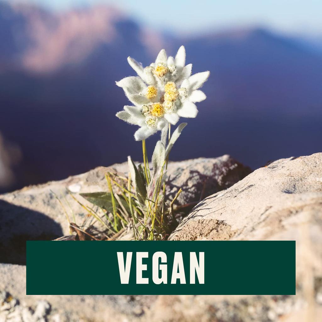 The Body Shop Edelweiss Liquid Peel 100 ml Gentle Exfoliating Gel For Dull Skin Glow Smooth Luminous Finish Care