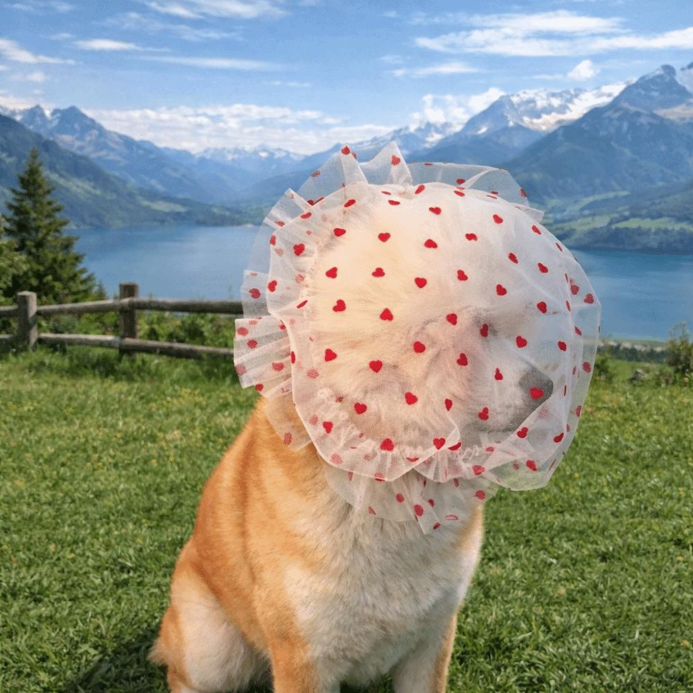 Breathable Dog Anti Licking Headgear Adjustable Dog Protective Mask Prevent Random Eating