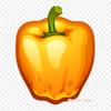 11 Bell Pepper Chili Pepper Iron On Heat Transfer Printing Vinyl Patches Sticker for Clothes DIY Appliques Washable Patches