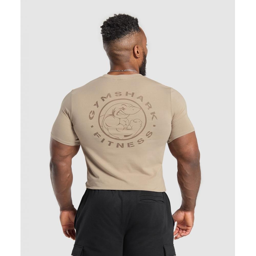 Gymshark Футболка Legacy Cement Brown A5a3b Nbzd