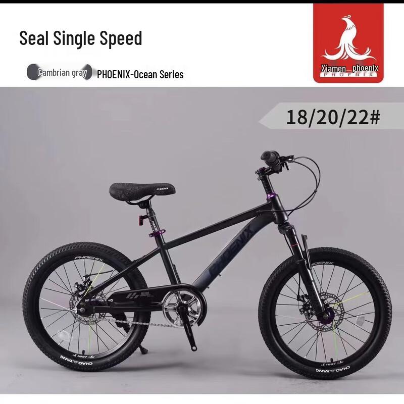 Phoenix Single-Speed Mountain Bike with Disc Brake