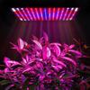 AC85-265V 225 LED Мощная фитолампа Светодиодный светильник для выращивания Полный спектр Светодиодная панель Лампа для выращивания растений Гидропоника Палатка