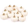 12 Pack Christmas Artificial Pumpkin Sets Made of Foam Simulation Pumpkin Ornament for Autumn Hallow