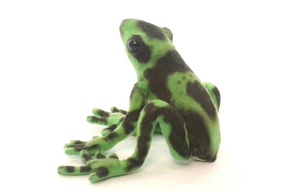 Зеленая ядовитая лягушка-древолаз №5224