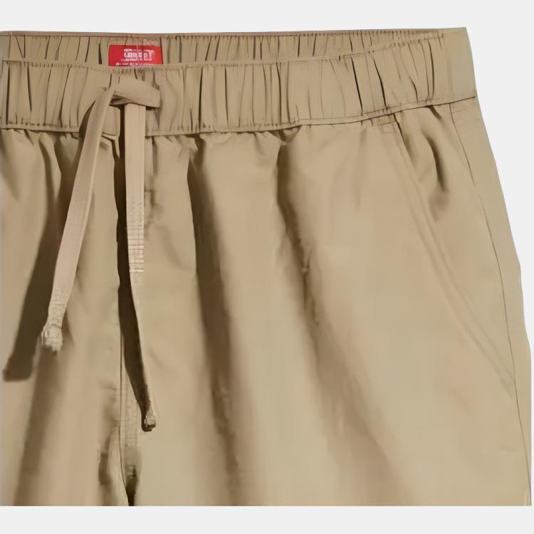 Levis Однотонные Удобные Пояс на резинке со шнурком Повседневные Шорты Мужские шорты Коричневый A7366-0015