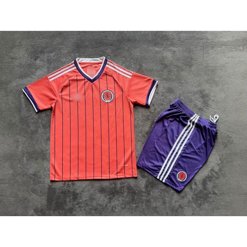Adult Soccer Jerseys National Team Club Football Shirts Customizable Number Sports Training Wear