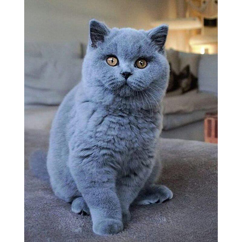 Cat DIY 5D Diamond Painting Rhinestone Animal Diamond Embroidery Cross Stitch Mosaic Full Round Drill Home Decor Art Gift