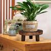 Wooden Plant Stand Flower Pot Base Holder Stool Indoor Outdoor Garden Succulent Pots Tray Flower Display Plant Stand SmallStool