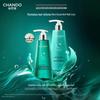 CHANDO Anti-Hair Loss and Scalp Care Shampoo