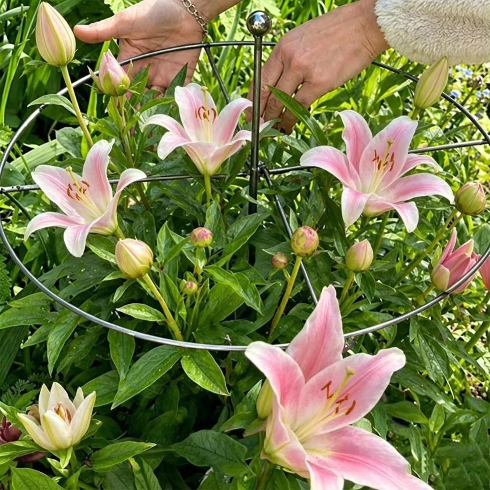 Weather-Resistant Metal Plant Support Ring Peony Flower Support Stake Plant Growth Fixing