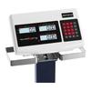Sbs-Pf-600/100 LCD Warehouse Platform Scale with Wheels Up to 600Kg