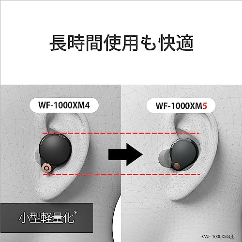 Sony Шумоподавляющие наушники WF-1000XM5: Модель MISIA CM/Полностью/Платиновое серебро WF-1000XM5 SC