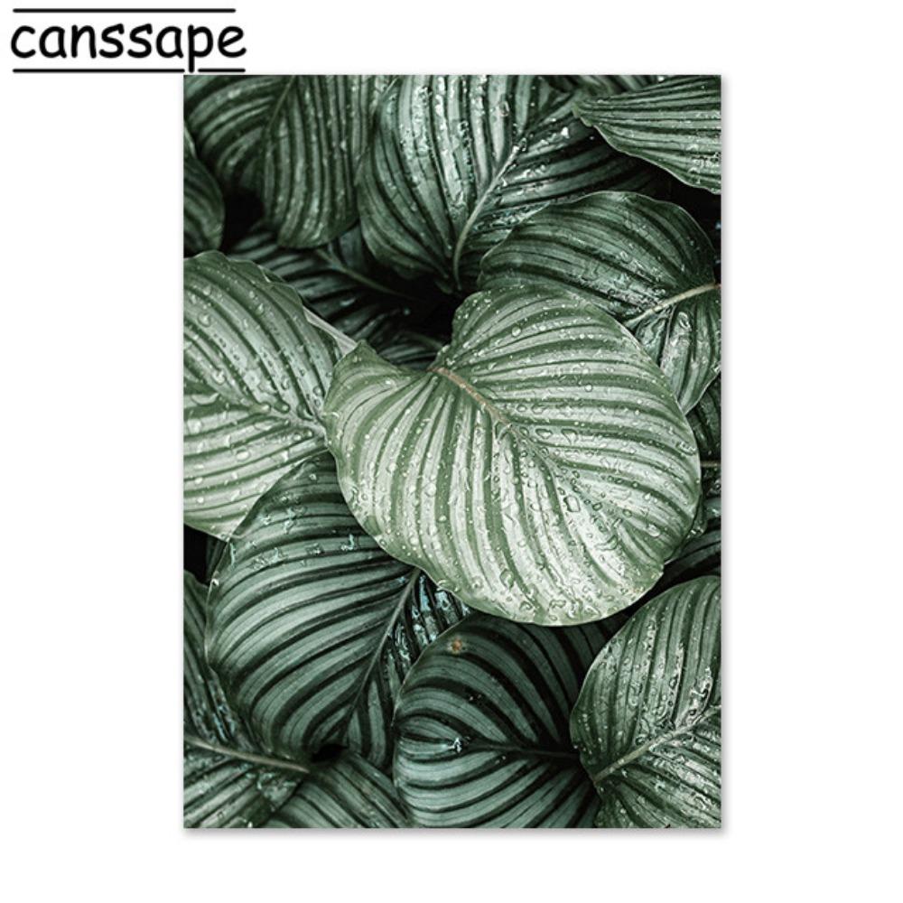 Природа Настенная Живопись Суккулентные Растения Плакаты Цветы Зеленые Растения Листья Холст Картина Скандинавские Настенные Картины Декор Гостиной