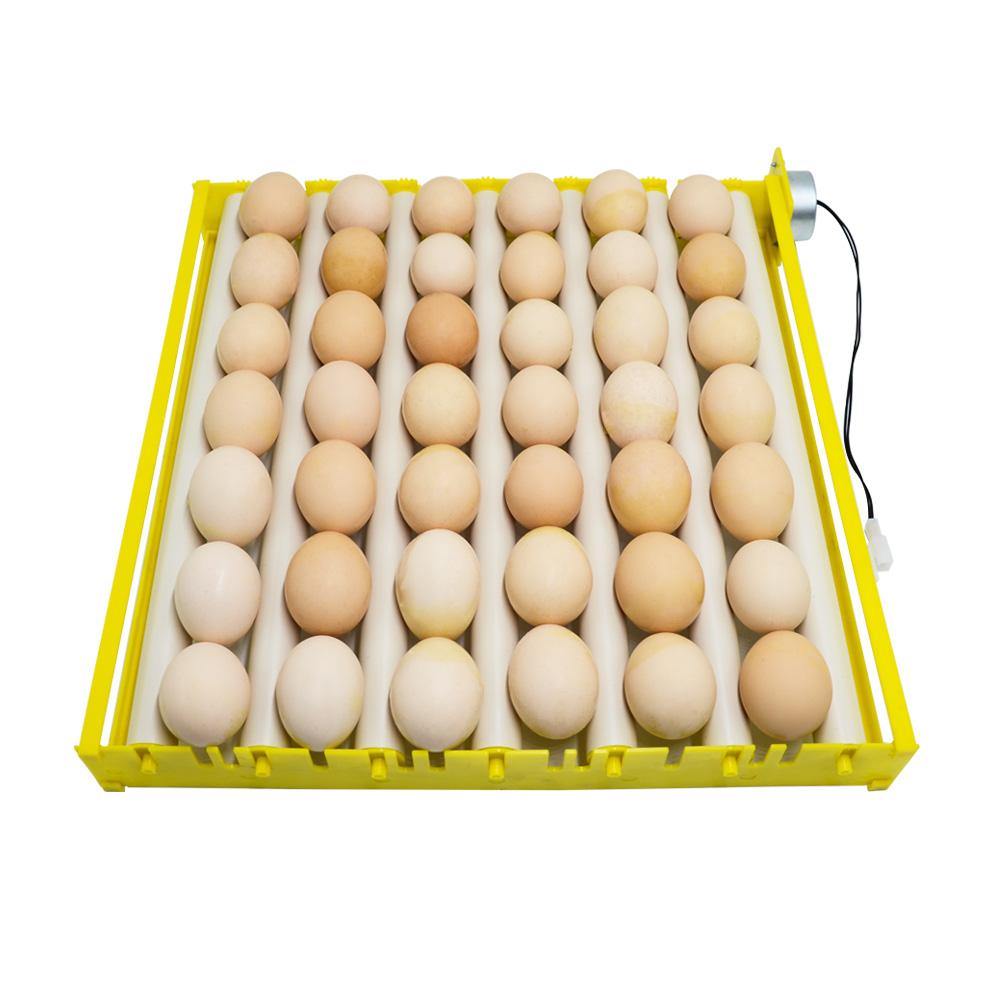 Automatic Eggs Incubator 360° Rotary Egg Turner Roller Tray Egg Hatching Incubator Duck Quail Bird Poultry Accessory for Farm